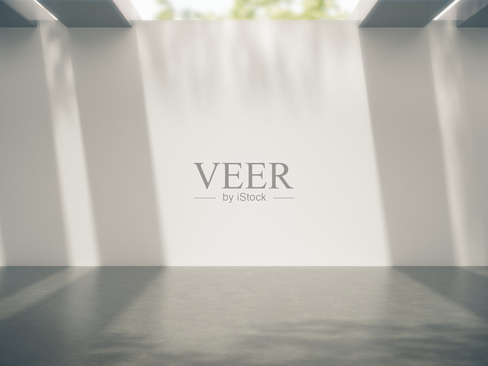 产品展示的空间和树在墙上的阴影。3d渲染。照片摄影图片