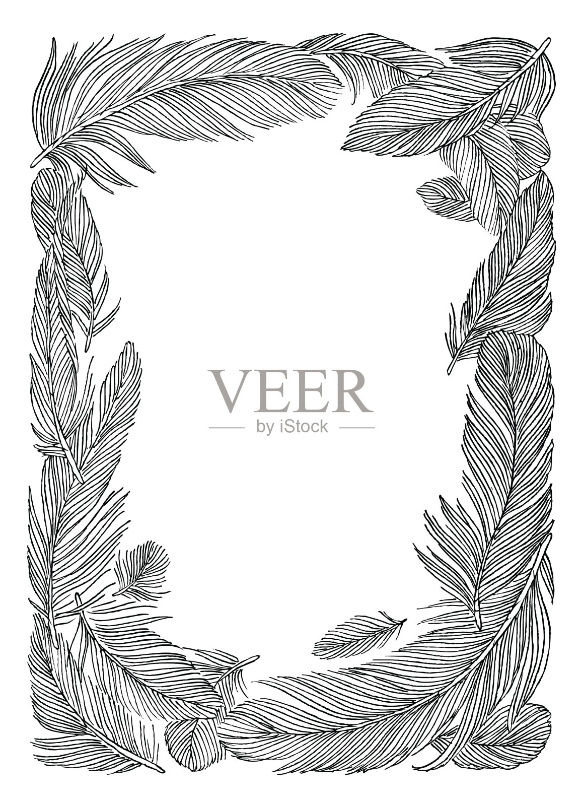 手绘羽毛框架插图设计元素图片