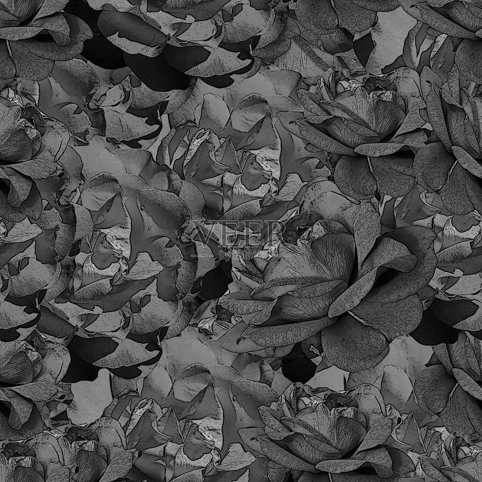 无缝图案与玫瑰花插画图片素材