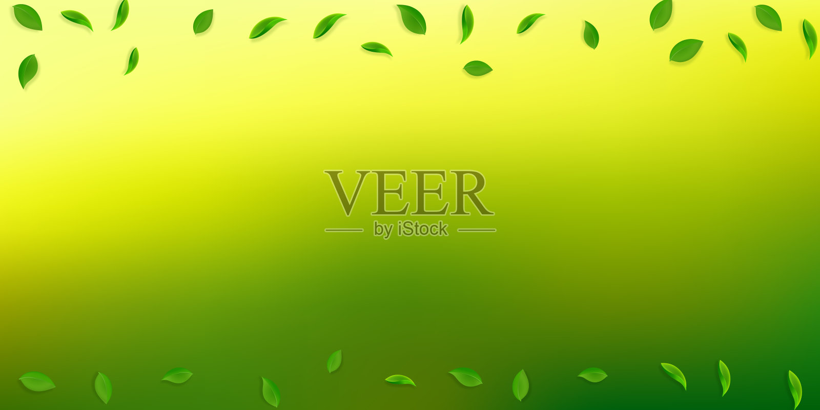 下降的绿叶。茶鲜，叶乱飞插画图片素材