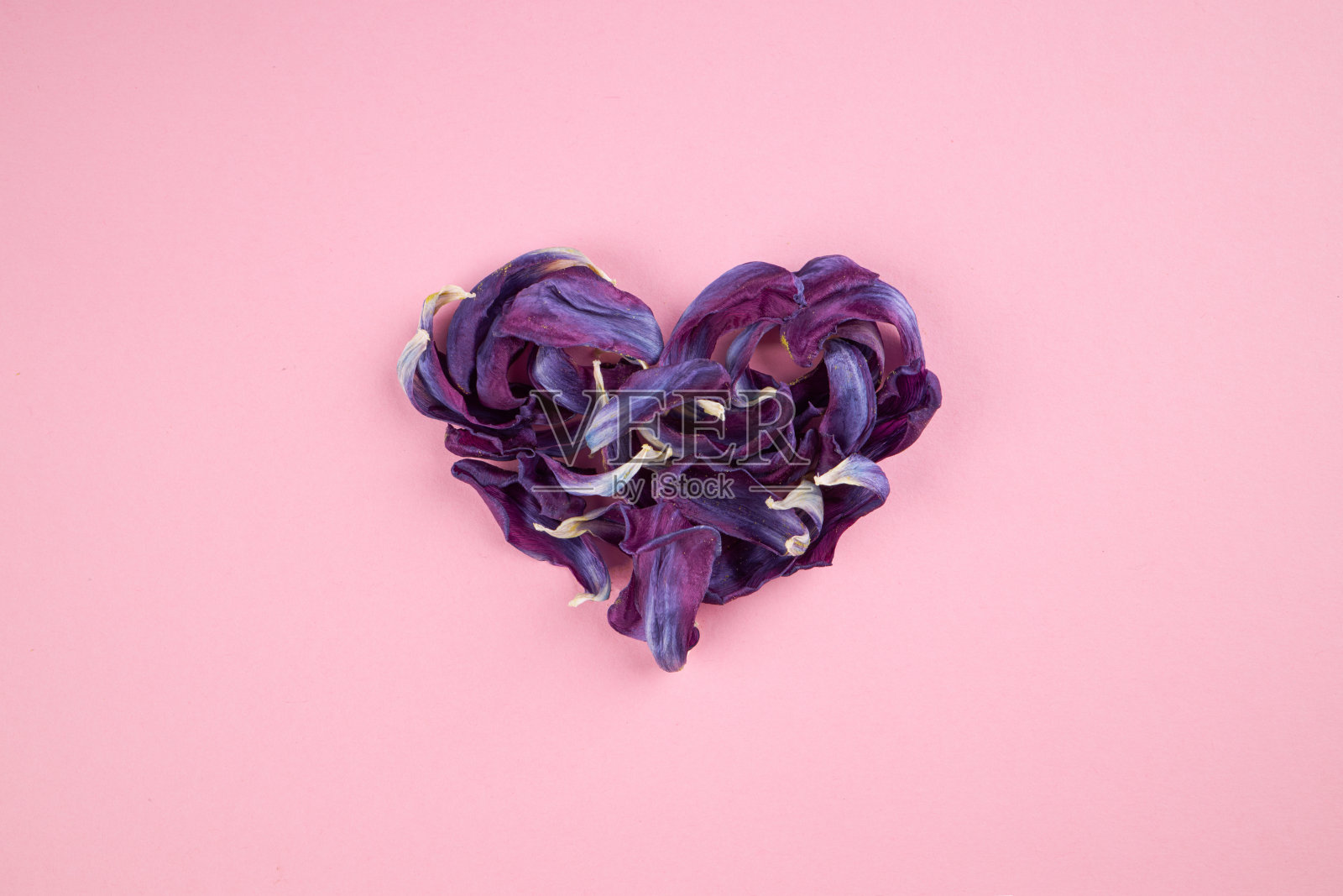 爱情和浪漫的概念。简单。心形的紫罗兰花瓣在粉红色的背景上。外太空。照片摄影图片