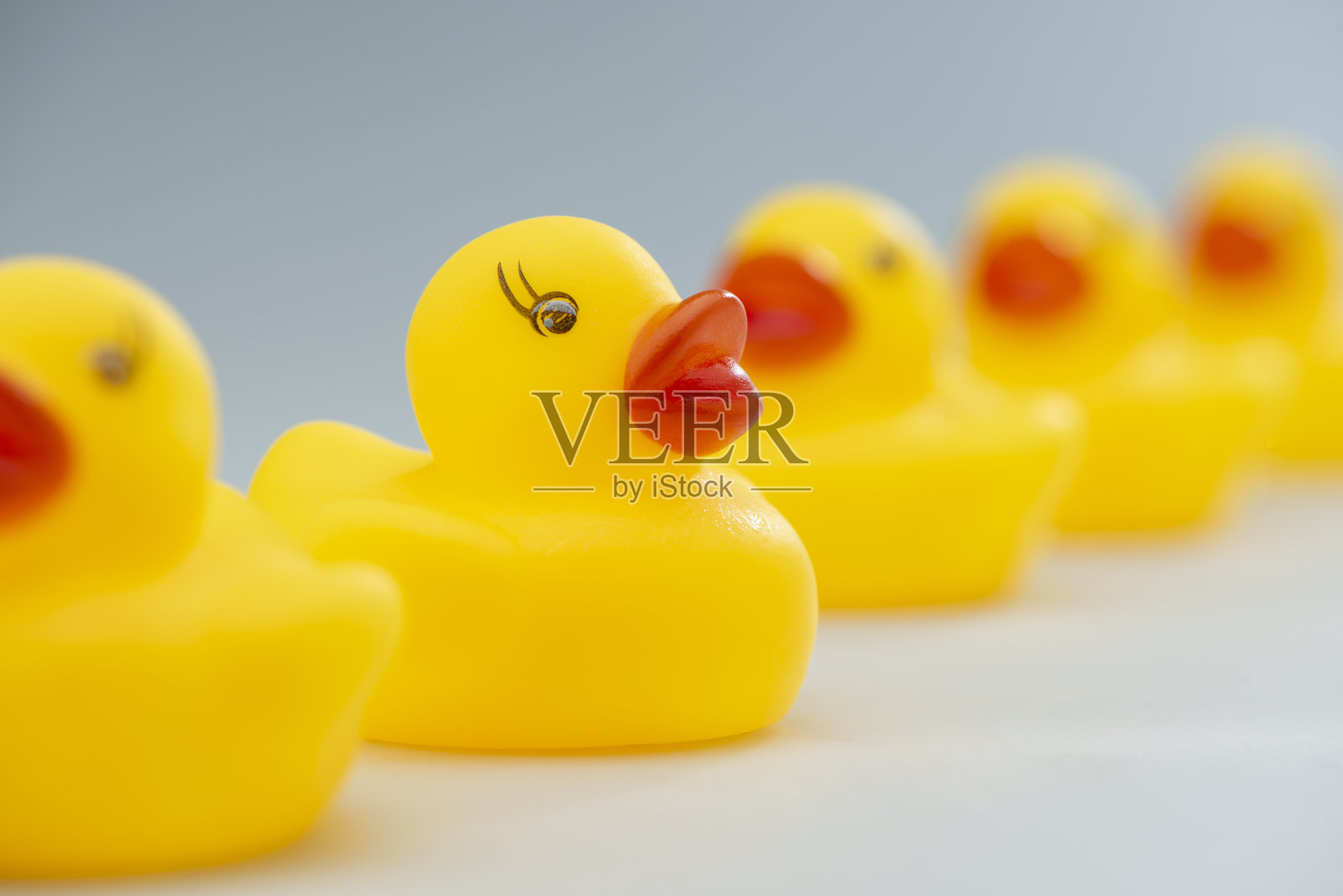 一排黄色橡皮鸭子照片摄影图片