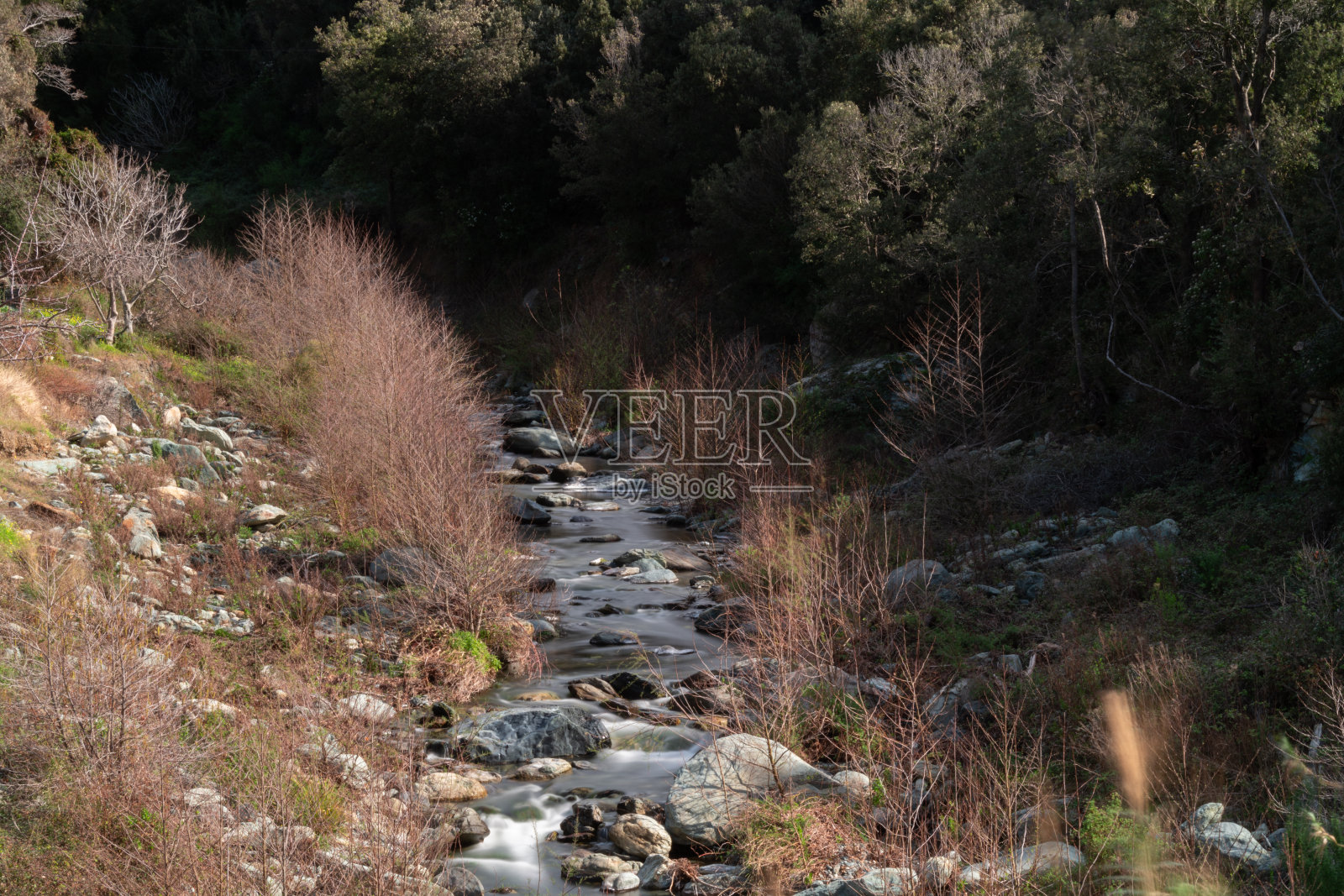 科西嘉岛北部的大自然照片摄影图片