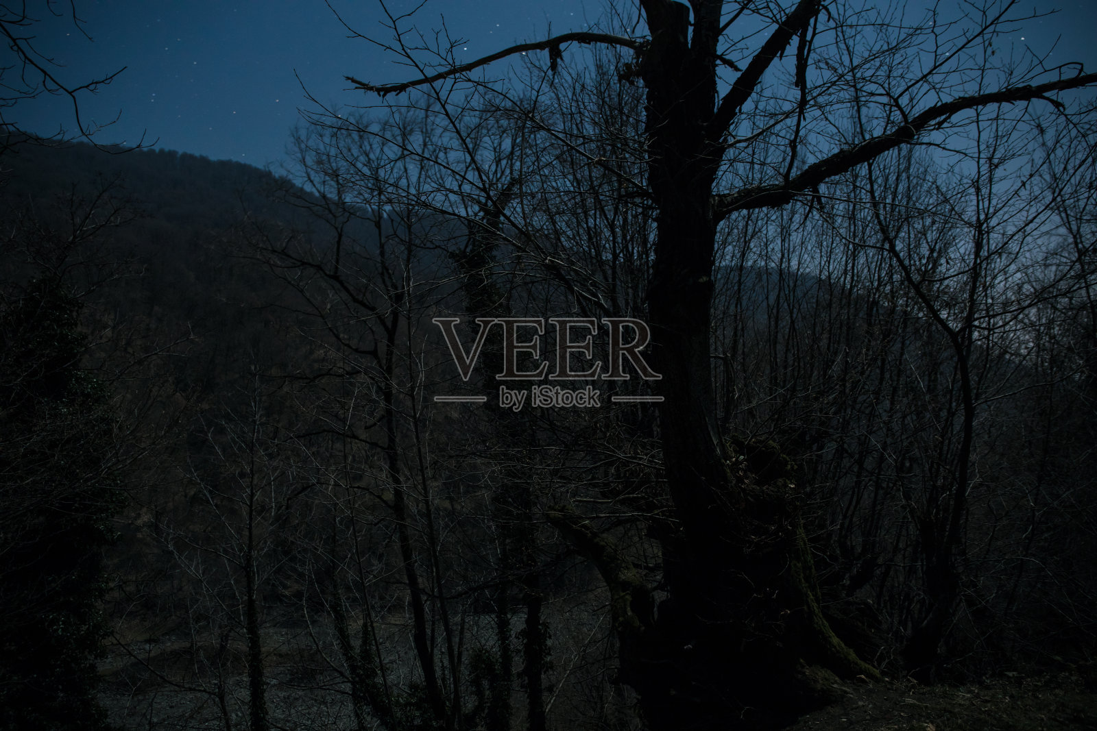 夜晚宁静村庄的满月。美丽的夜景老城区街道与灯光照片摄影图片