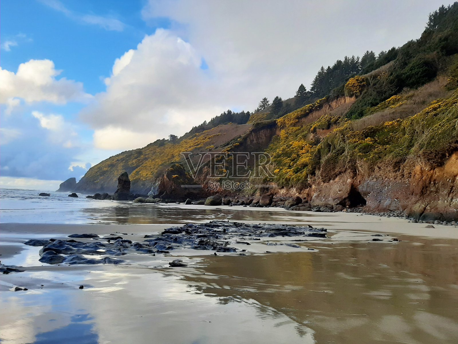 春天图片照片摄影图片
