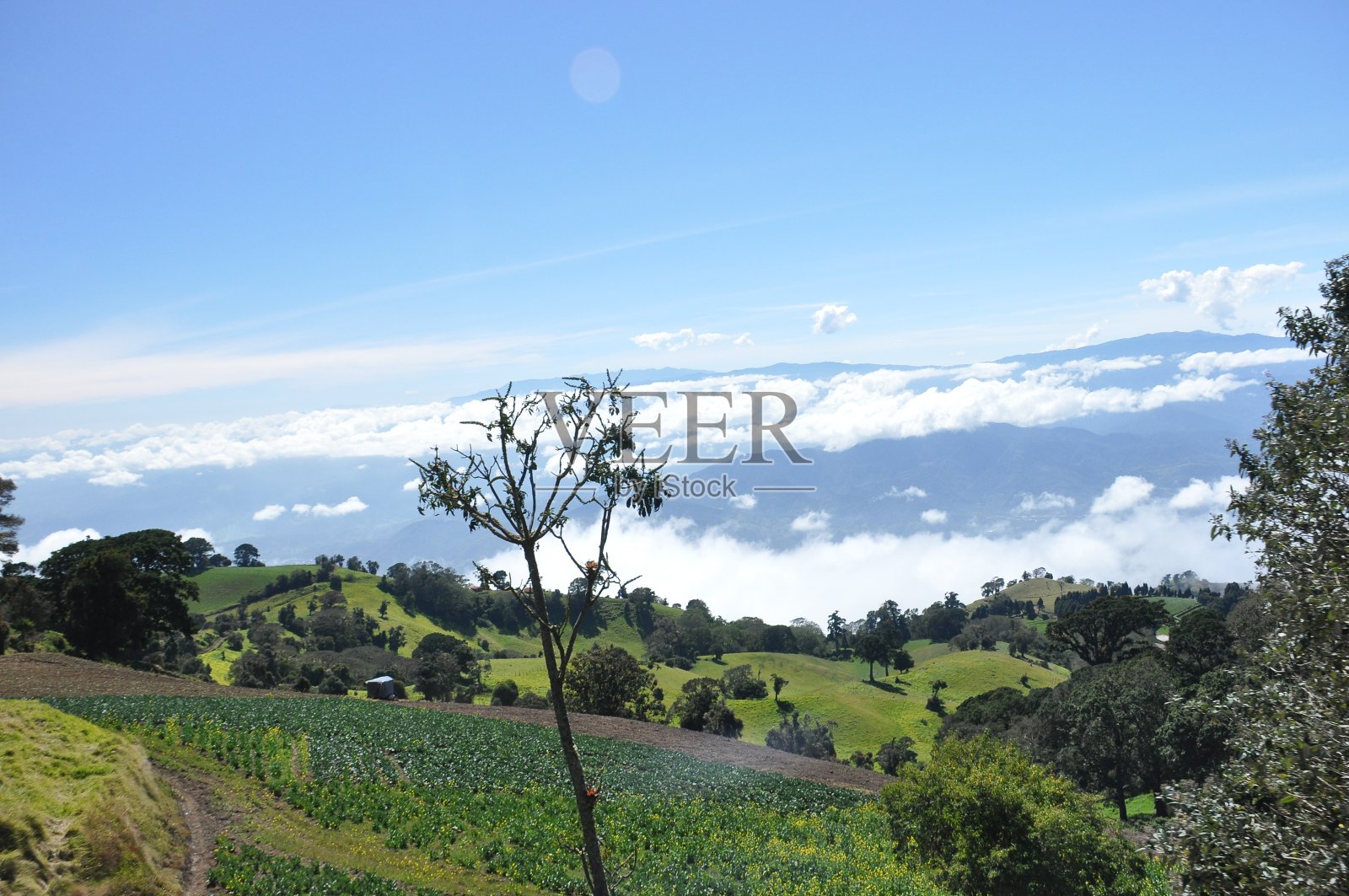 哥斯达黎加伊拉苏火山的农业斜坡，土壤肥沃，向阳的斜坡上有许多作物。山谷被悬在火山锥下的云层所包围。照片摄影图片