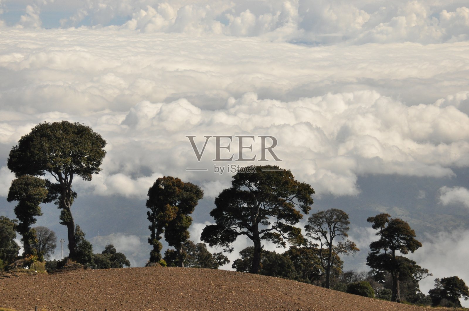 哥斯达黎加伊拉苏火山的农业斜坡，土壤肥沃，向阳的斜坡上有许多作物。山谷被悬在火山锥下的云层所包围。照片摄影图片