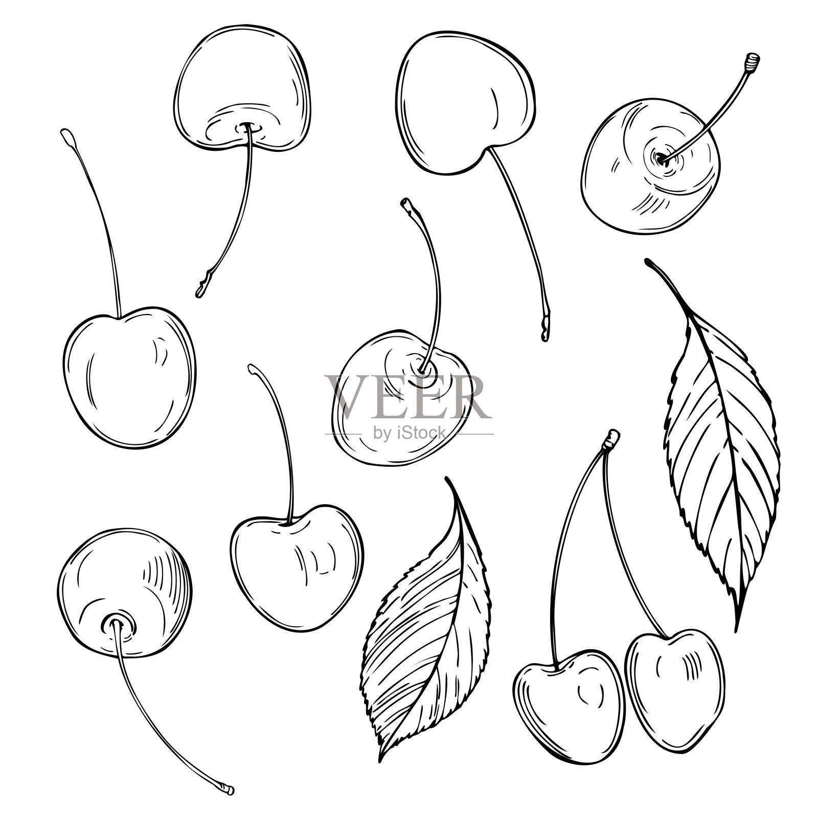 手绘樱桃。矢量插图。插画图片素材