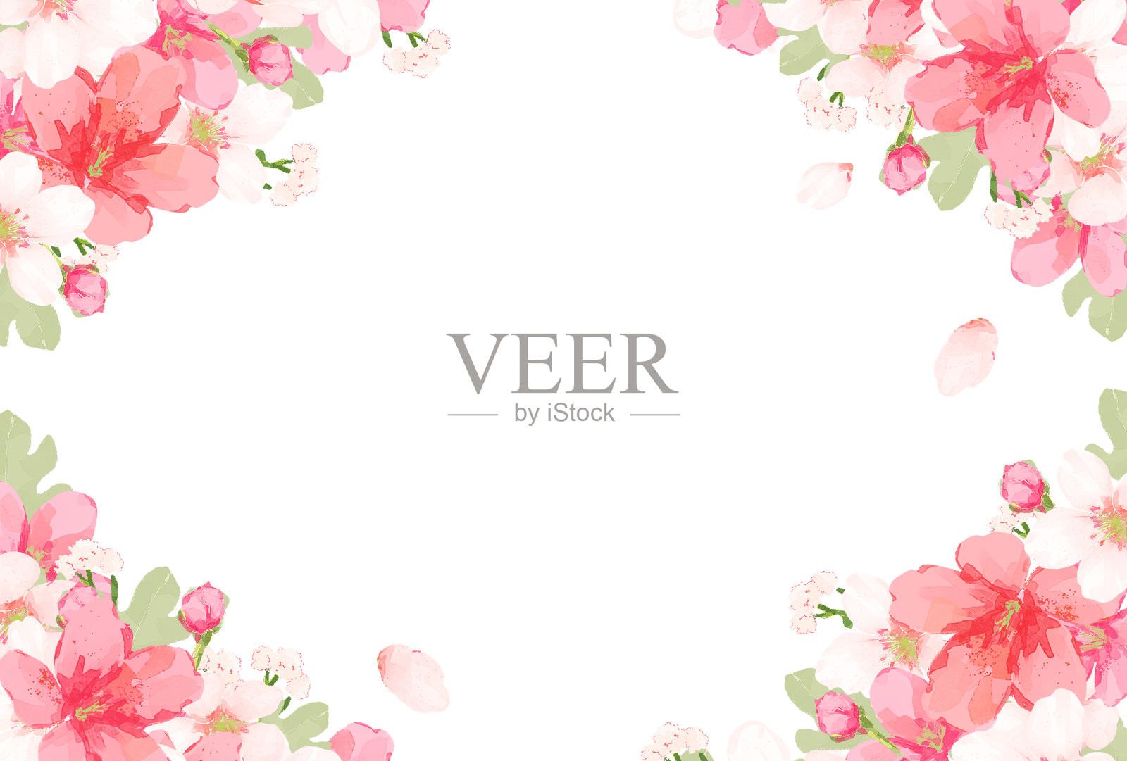 樱花框架(矢量)插画图片素材