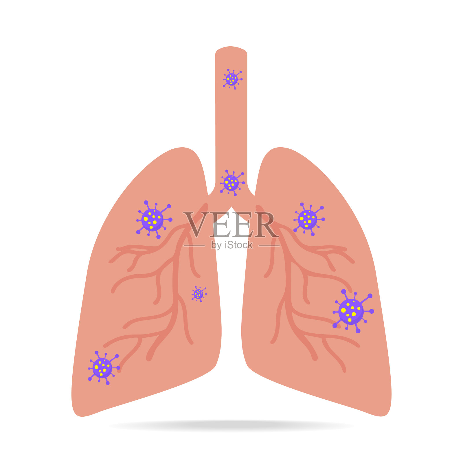 病毒和细菌感染人体肺部的插图插画图片素材