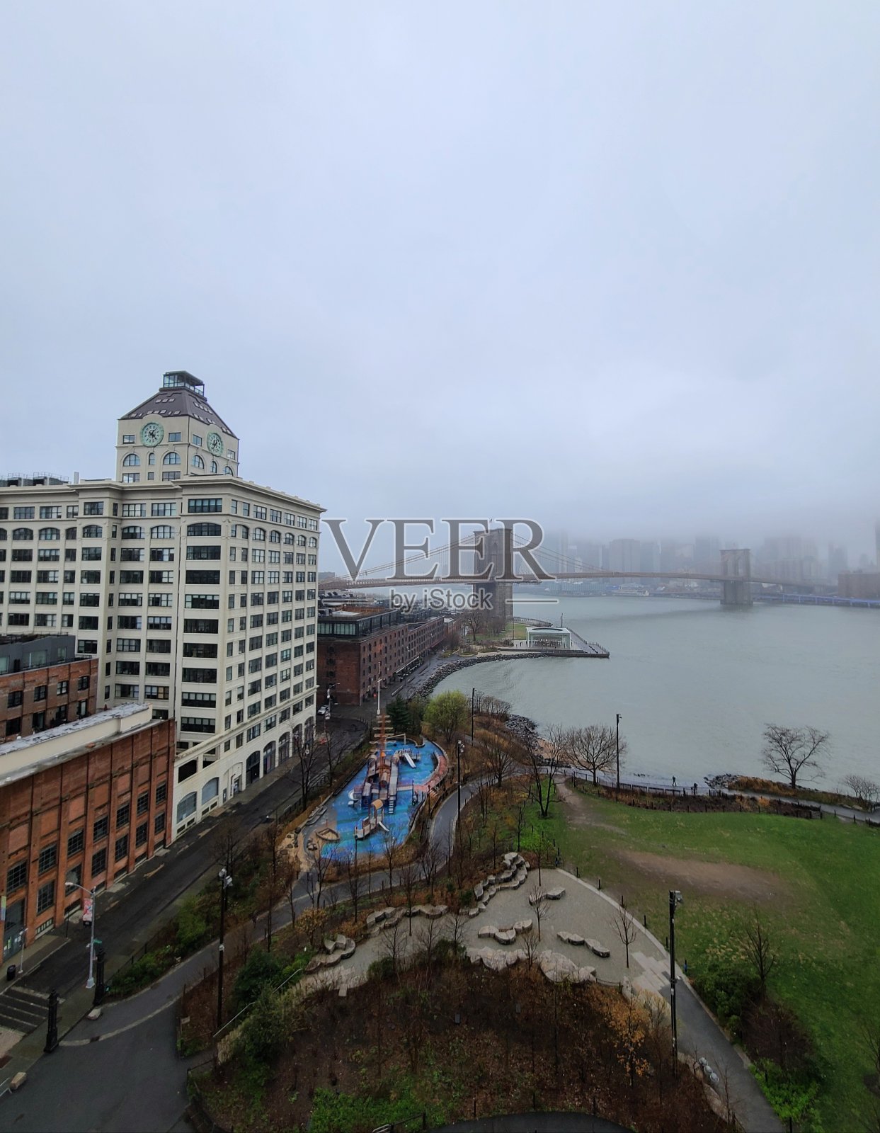 小飞象照片摄影图片