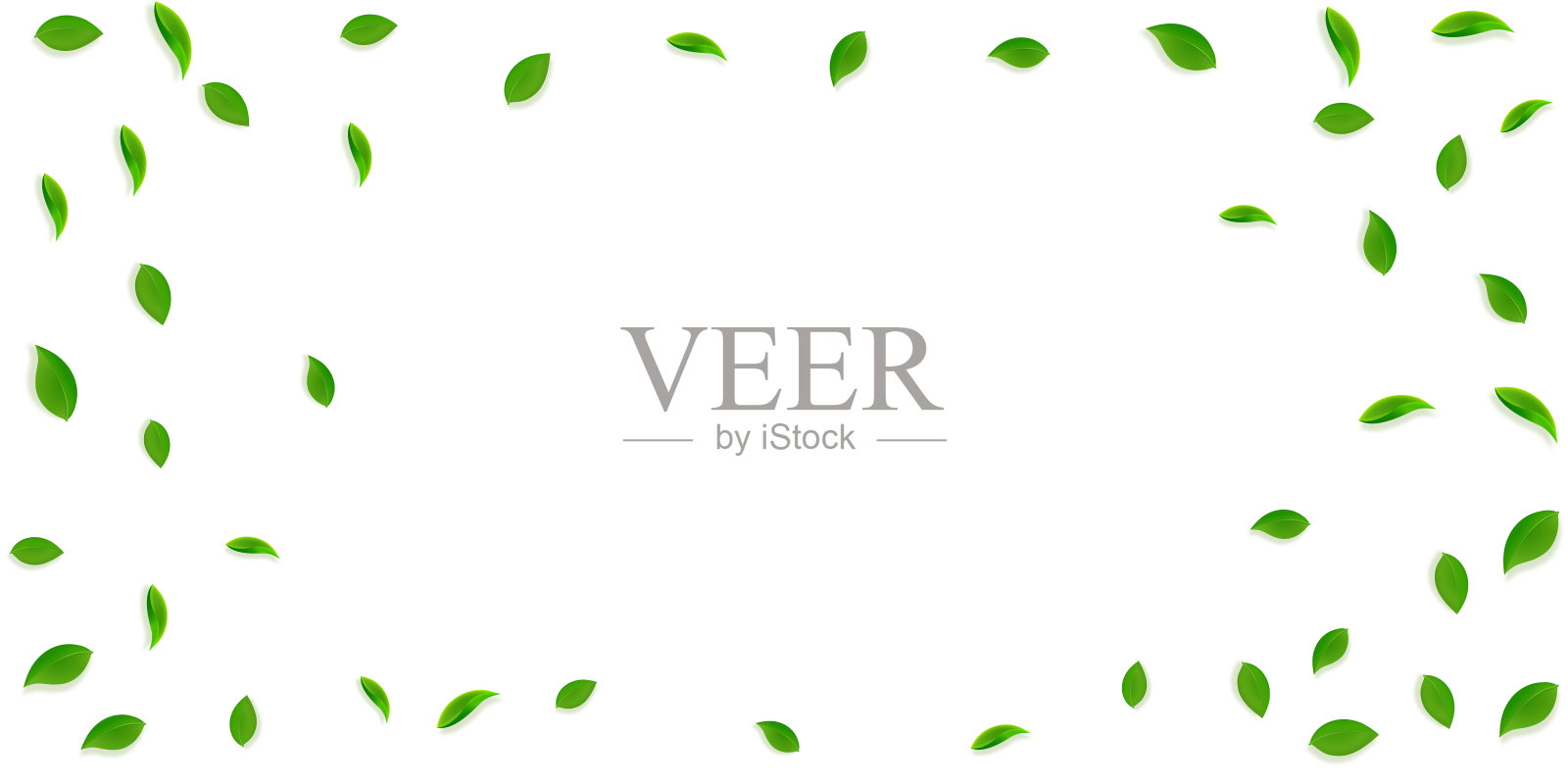 下降的绿叶。茶鲜，叶乱飞插画图片素材