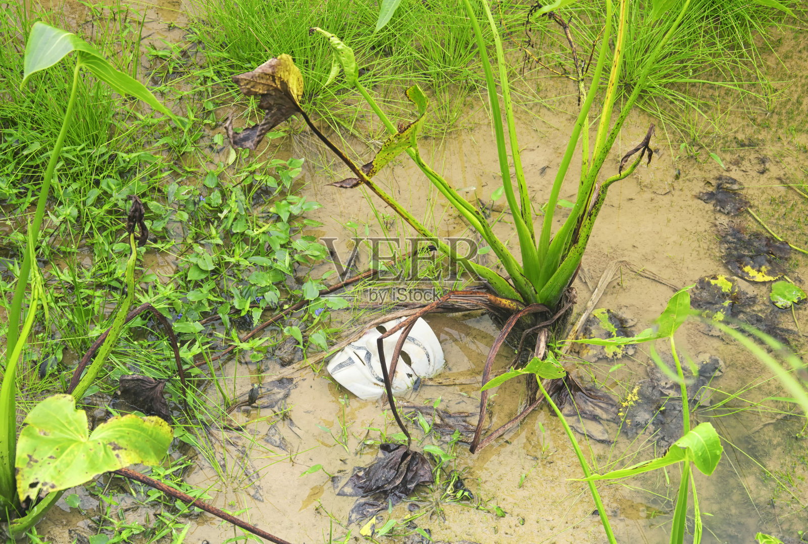 云和梯田是中国自然景观照片摄影图片