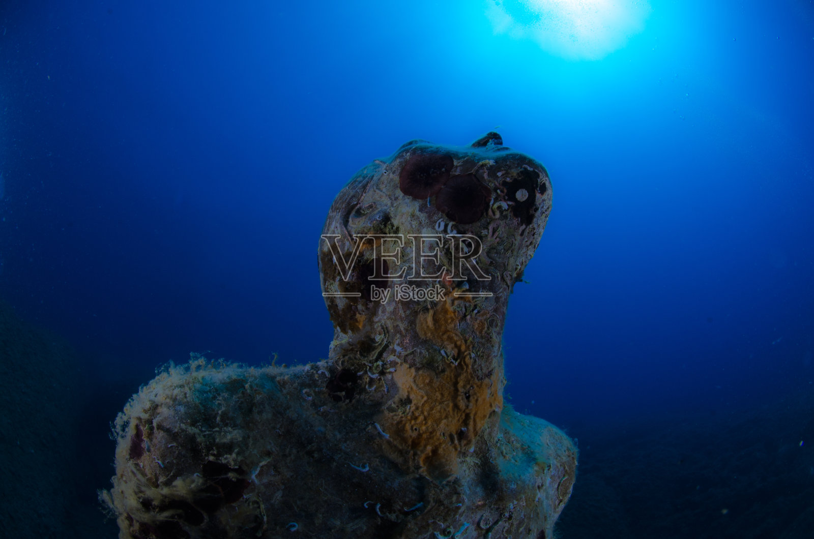 蓝色警笛照片摄影图片