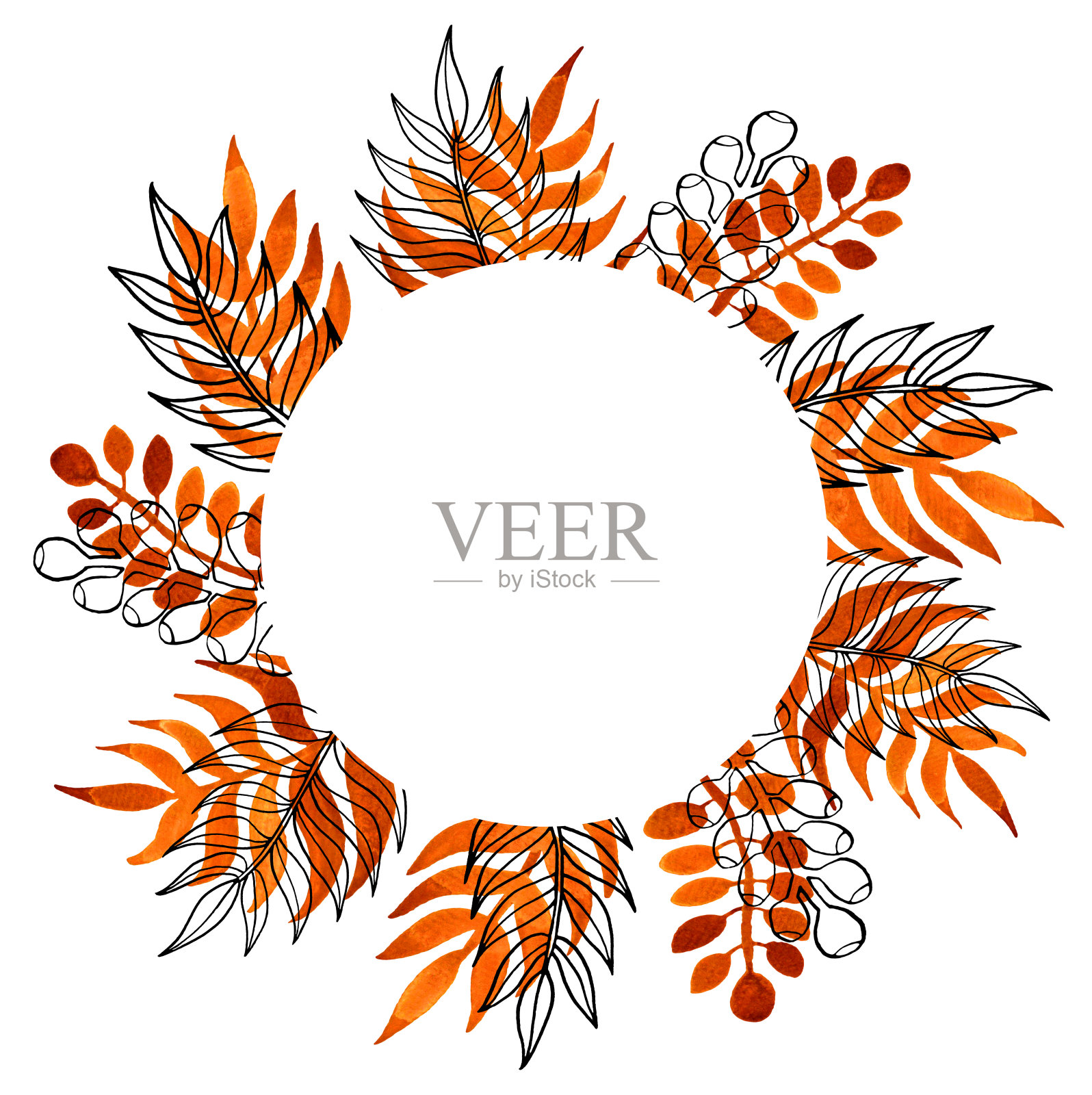 水彩和线条艺术叶框架插画图片素材