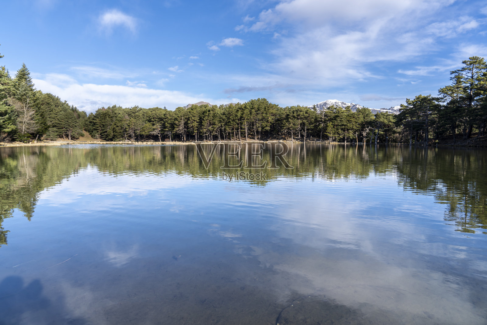 在冬天的巴萨湖上有倒影。照片摄影图片