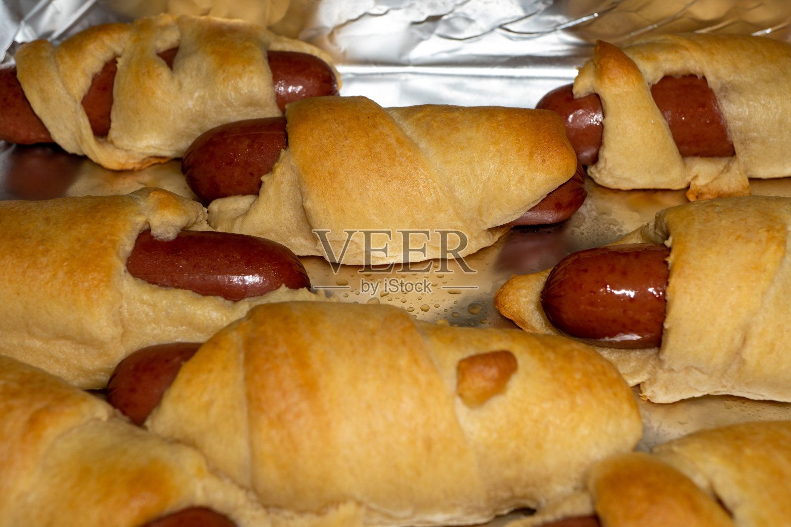 “毯子里的猪”照片摄影图片