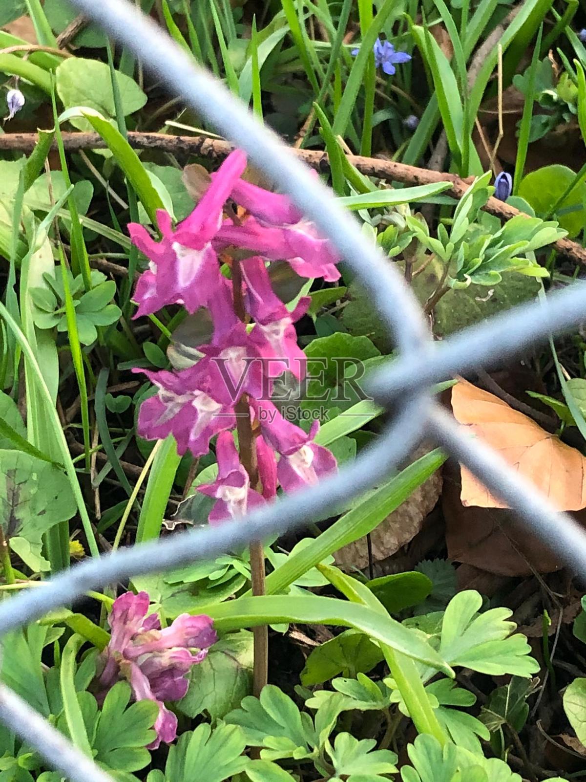 社会距离照片摄影图片