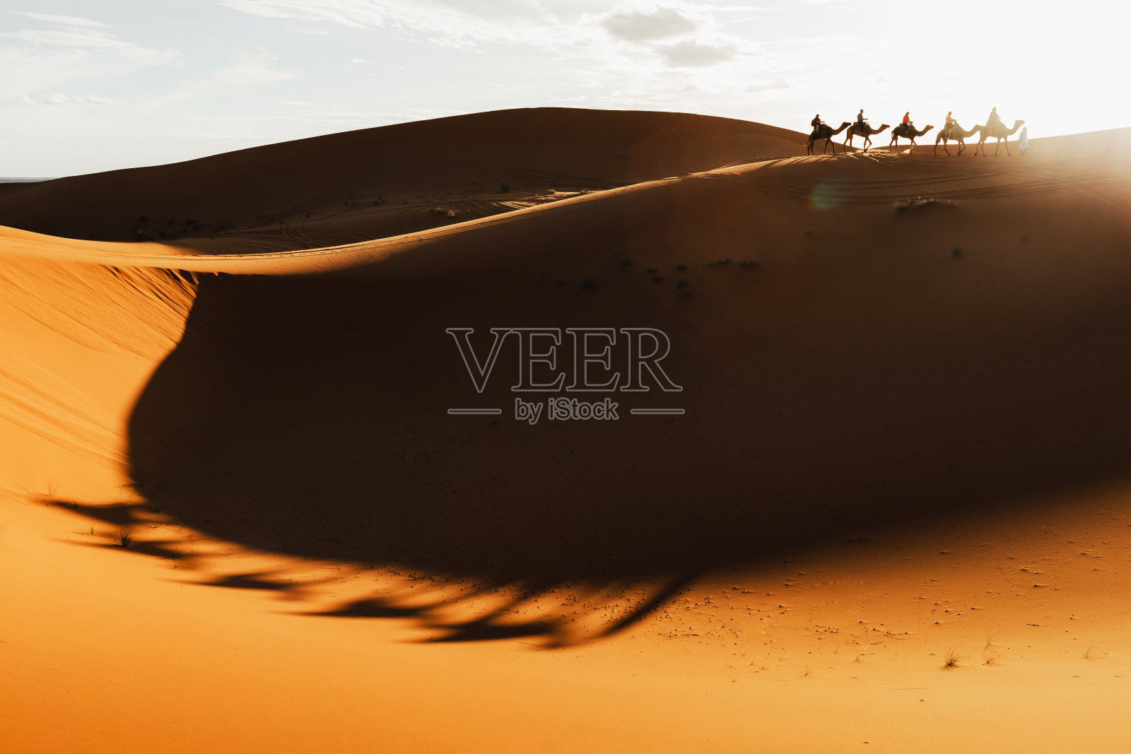 撒哈拉沙漠日落时分的骆驼商队照片摄影图片