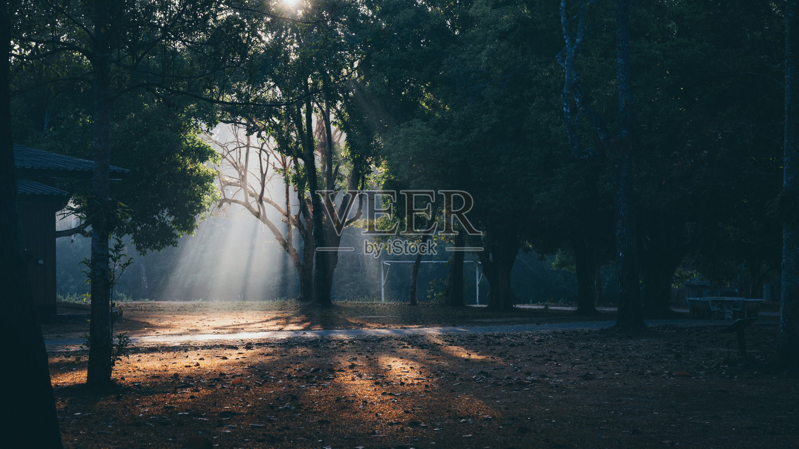 泰国Khao Yai国家公园的清晨场景照片摄影图片