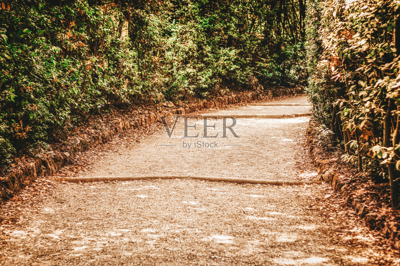 意大利佛罗伦萨波波里花园的道路，旅游休闲设计概念照片摄影图片