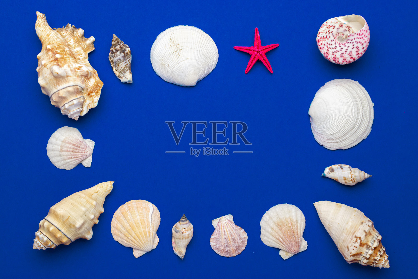 贝壳，红色海星孤立在蓝色背景与空白文字。顶视图旅游或度假概念。夏天的背景。平躺，俯视图照片摄影图片