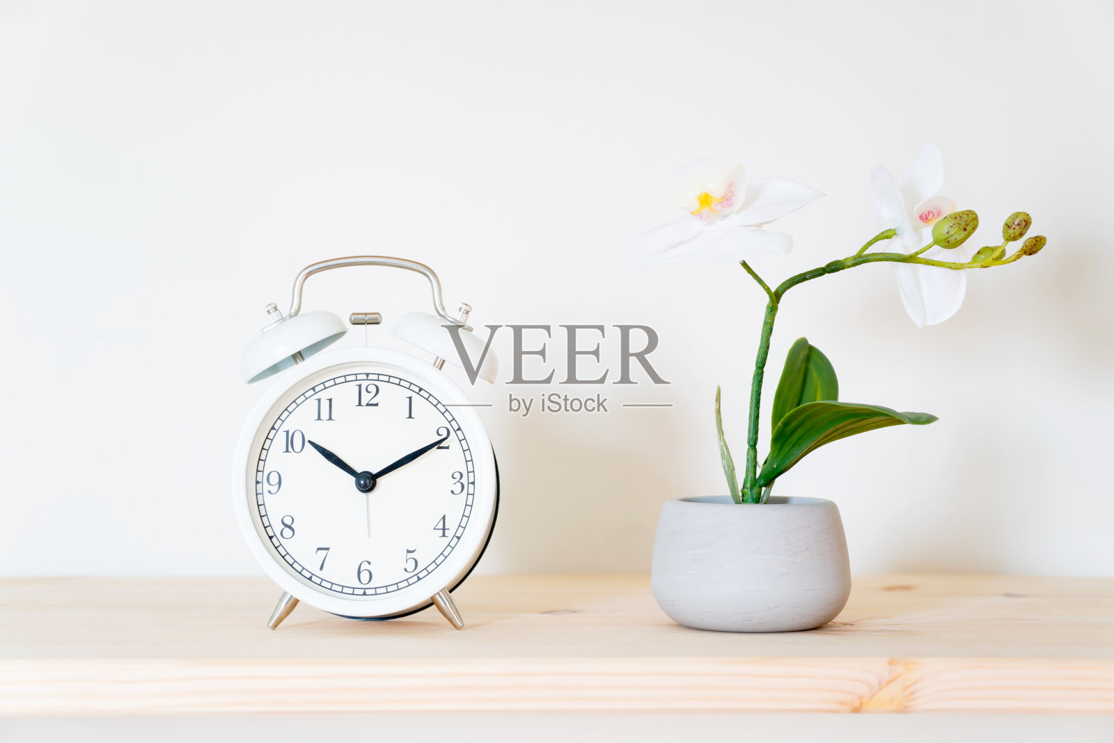 闹钟和花盆的白色背景。前视图。本空间照片摄影图片