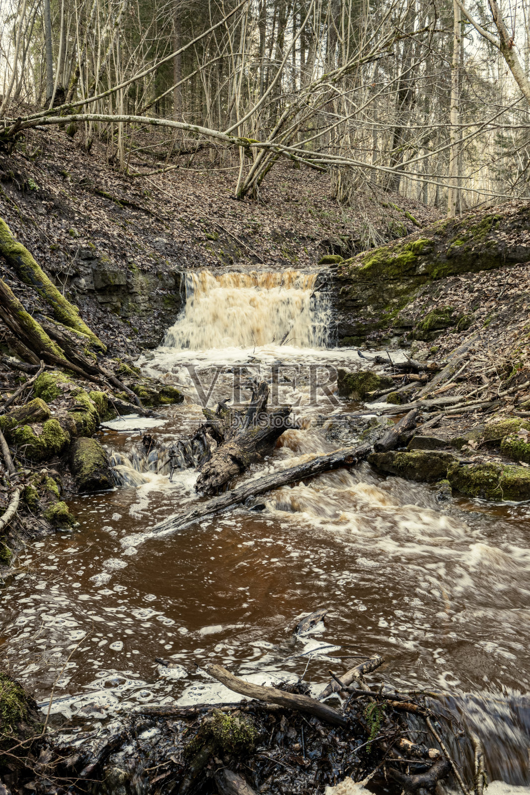森林里一条小河上的肮脏瀑布照片摄影图片
