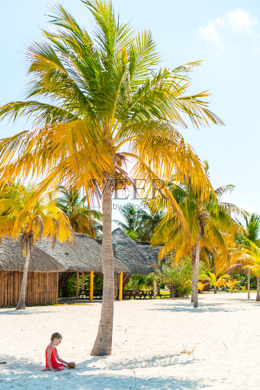 沙滩上有个大椰子的可爱小女孩照片摄影图片