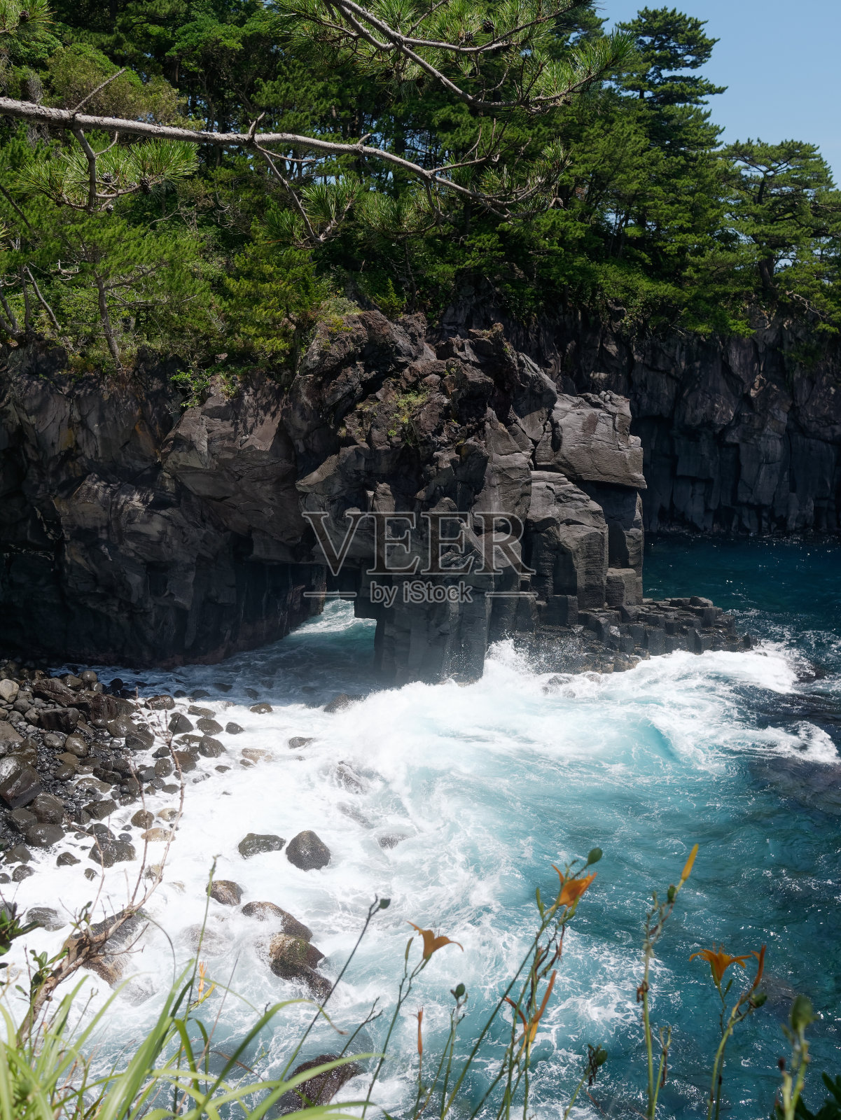 日本伊豆Jogasaki海岸的带有柱状接头的野生岩石悬崖。照片摄影图片