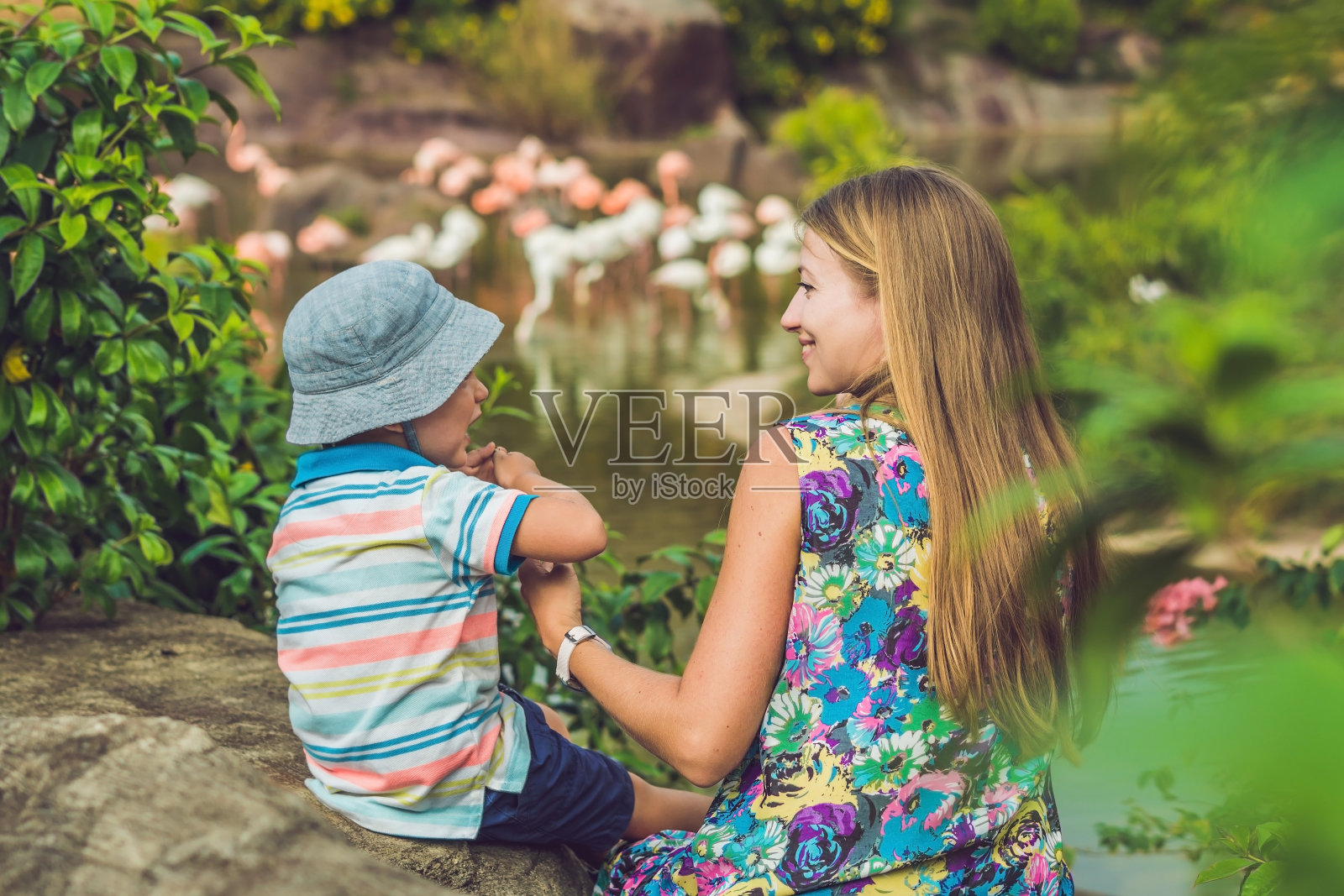 妈妈和儿子在池塘边观看粉红色的火烈鸟照片摄影图片