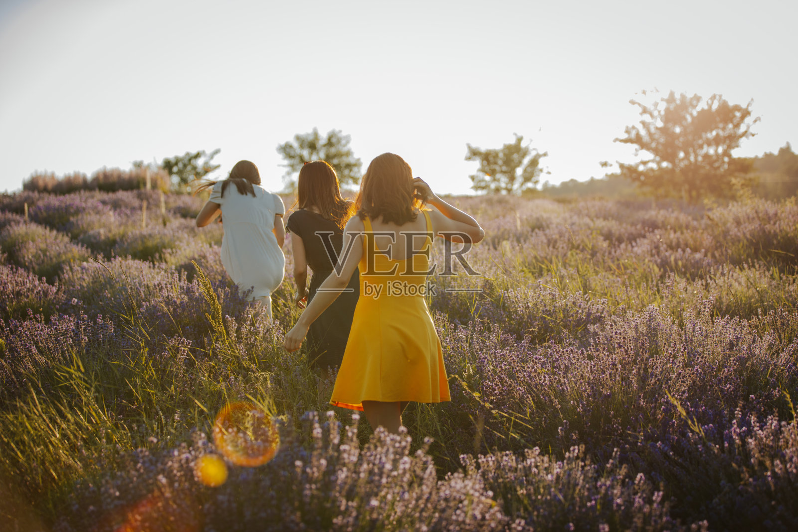 夏天快乐照片摄影图片