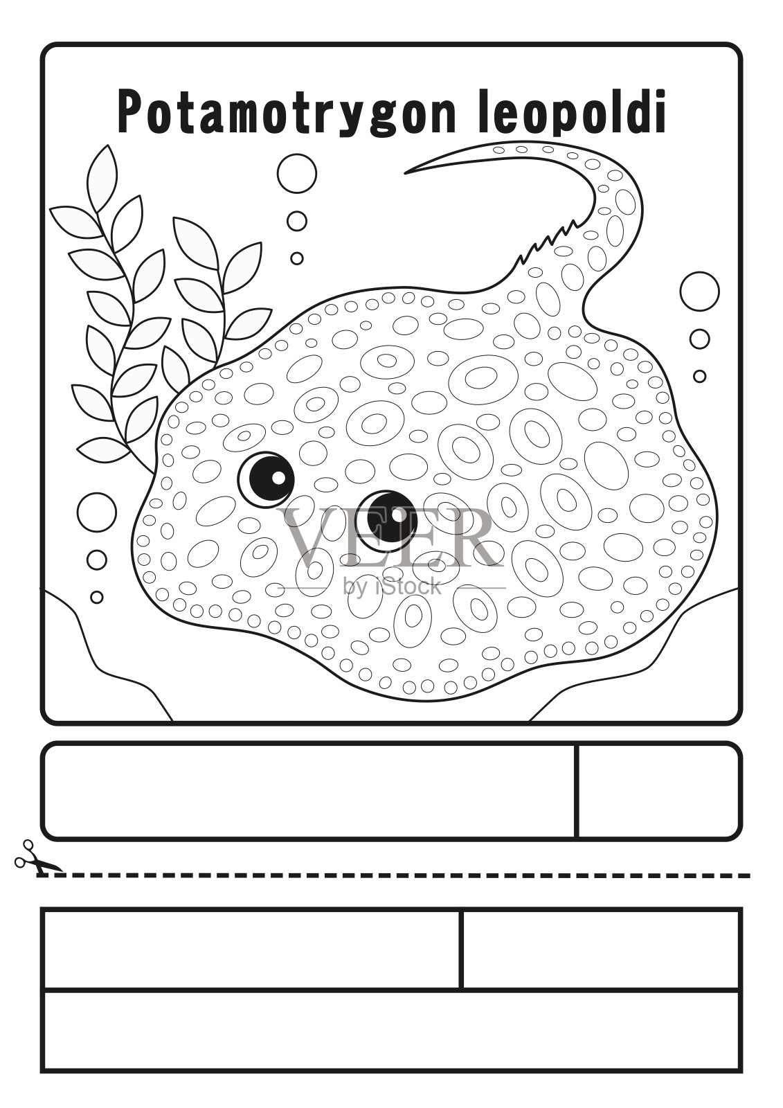 淡水，Ei，圆点，斯汀利，涂色，纸张，涂色，形式，涂色，图片，Potamotrygon, Leopoldi，插图，特征插画图片素材
