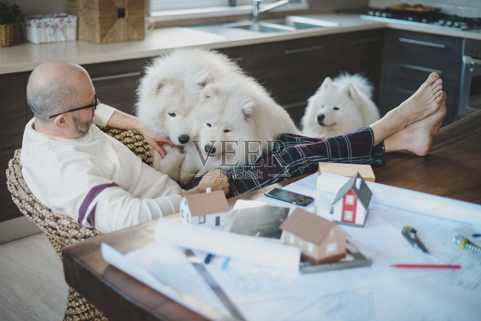 一个成熟的成年人在家里和狗一起工作照片摄影图片