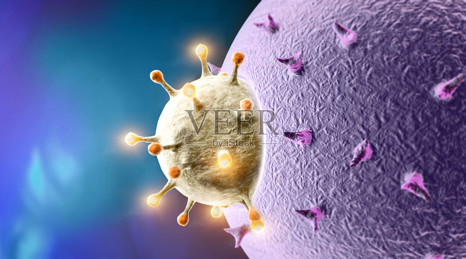 病毒的传播。冠状病毒如何攻击细胞。如果病毒找到兼容的受体，则允许covid-19自我复制。照片摄影图片