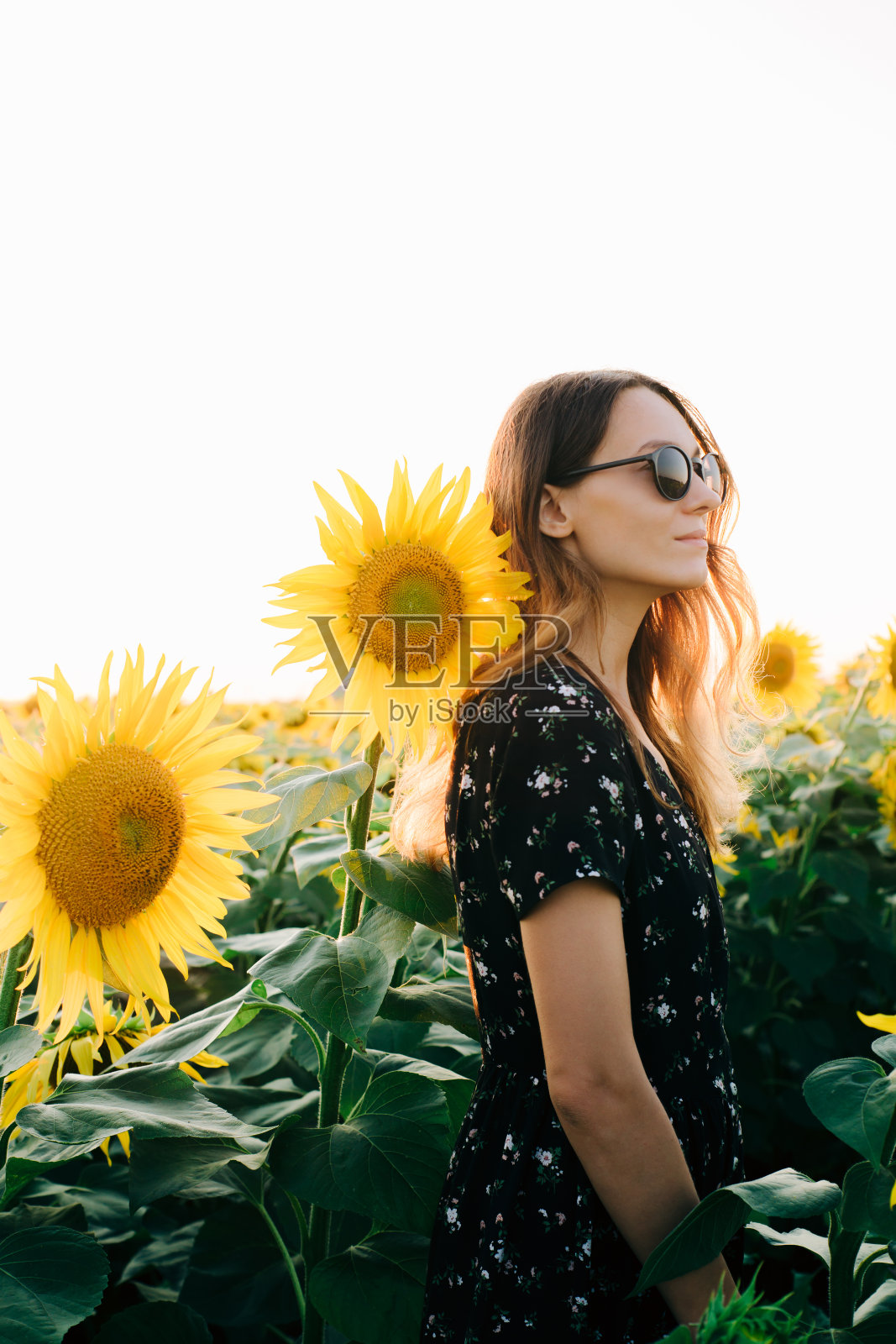日落时分穿碎花裙的女孩在向日葵花田照片摄影图片