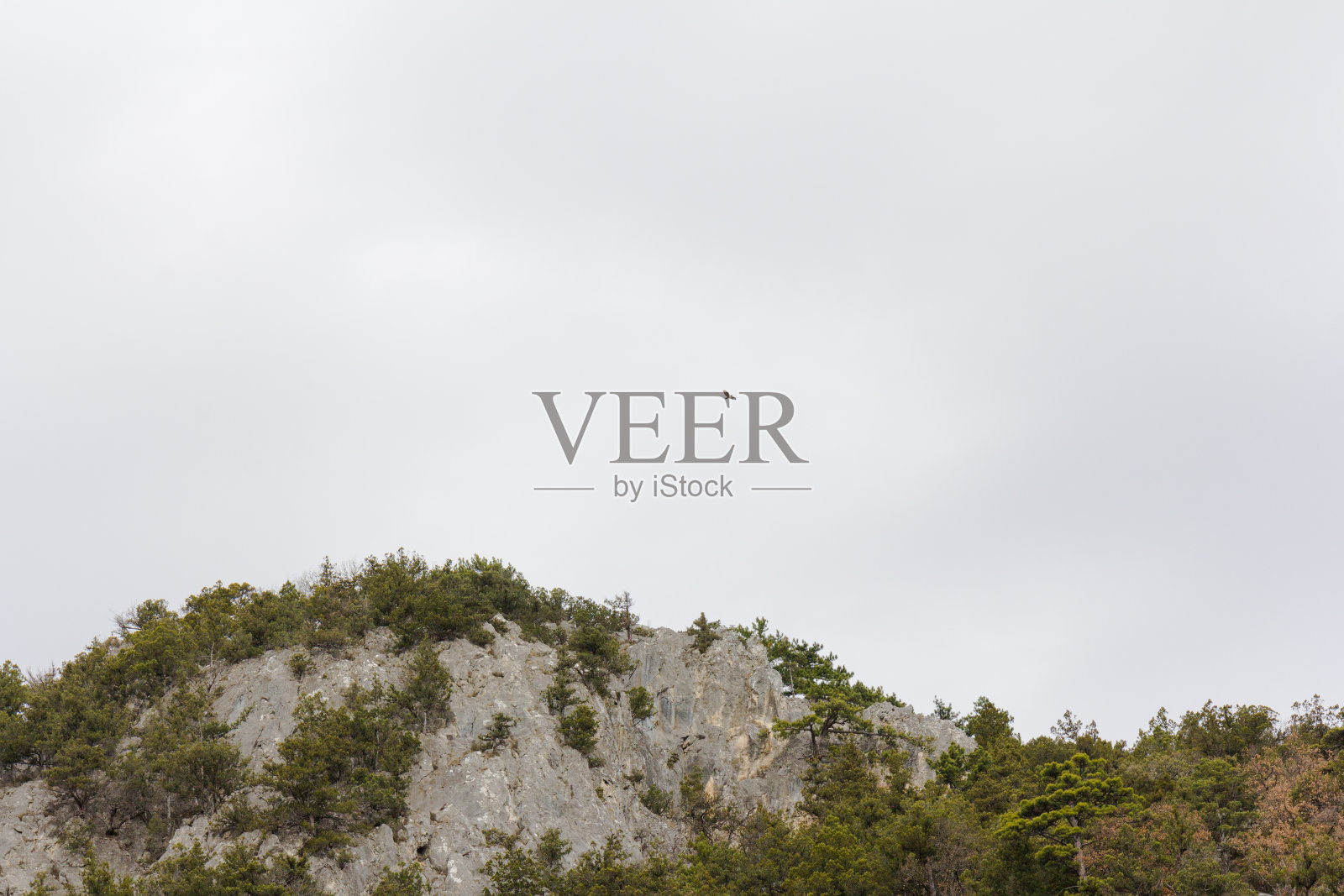 巨大的石山。岩石背景。洛矶山脉照片摄影图片