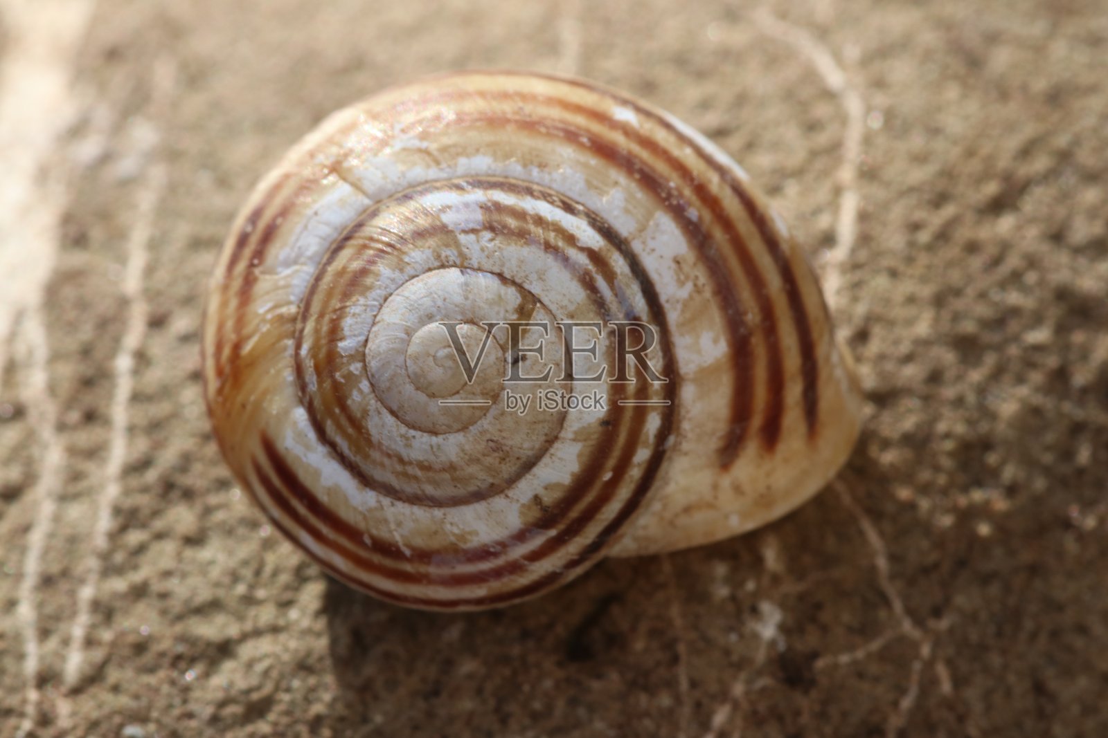 《蜗居》自然照片摄影图片