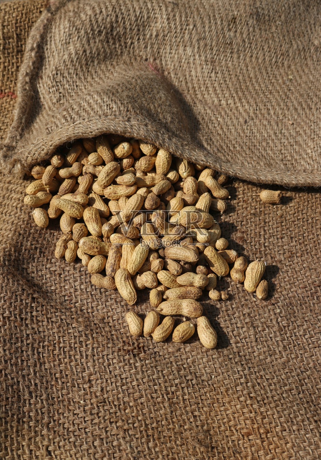 黄麻麻袋里的花生豆荚照片摄影图片