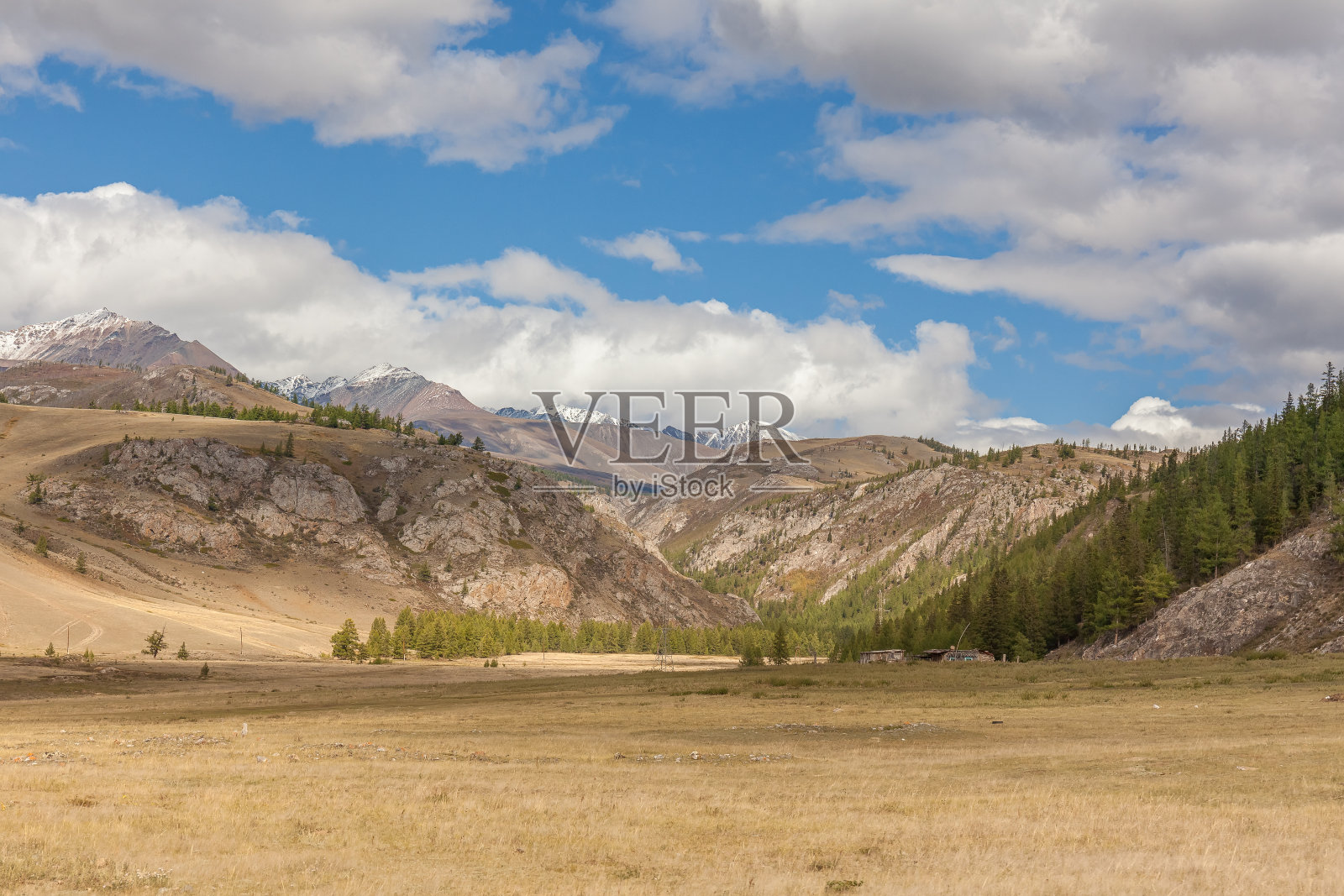 俄罗斯阿尔泰的夏日美景。阿尔泰共和国是俄罗斯的少数民族共和国之一。照片摄影图片