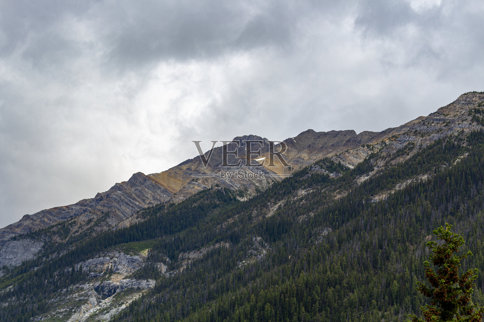 加拿大落基山脉，班夫国家公园，冰川国家公园，横加那达湾照片摄影图片