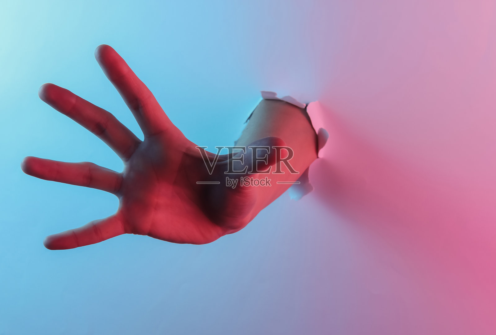 神秘万圣节的概念。手穿过一个破洞。创意波普艺术粉蓝色霓虹色。时髦的梯度照明。夜灯照片摄影图片