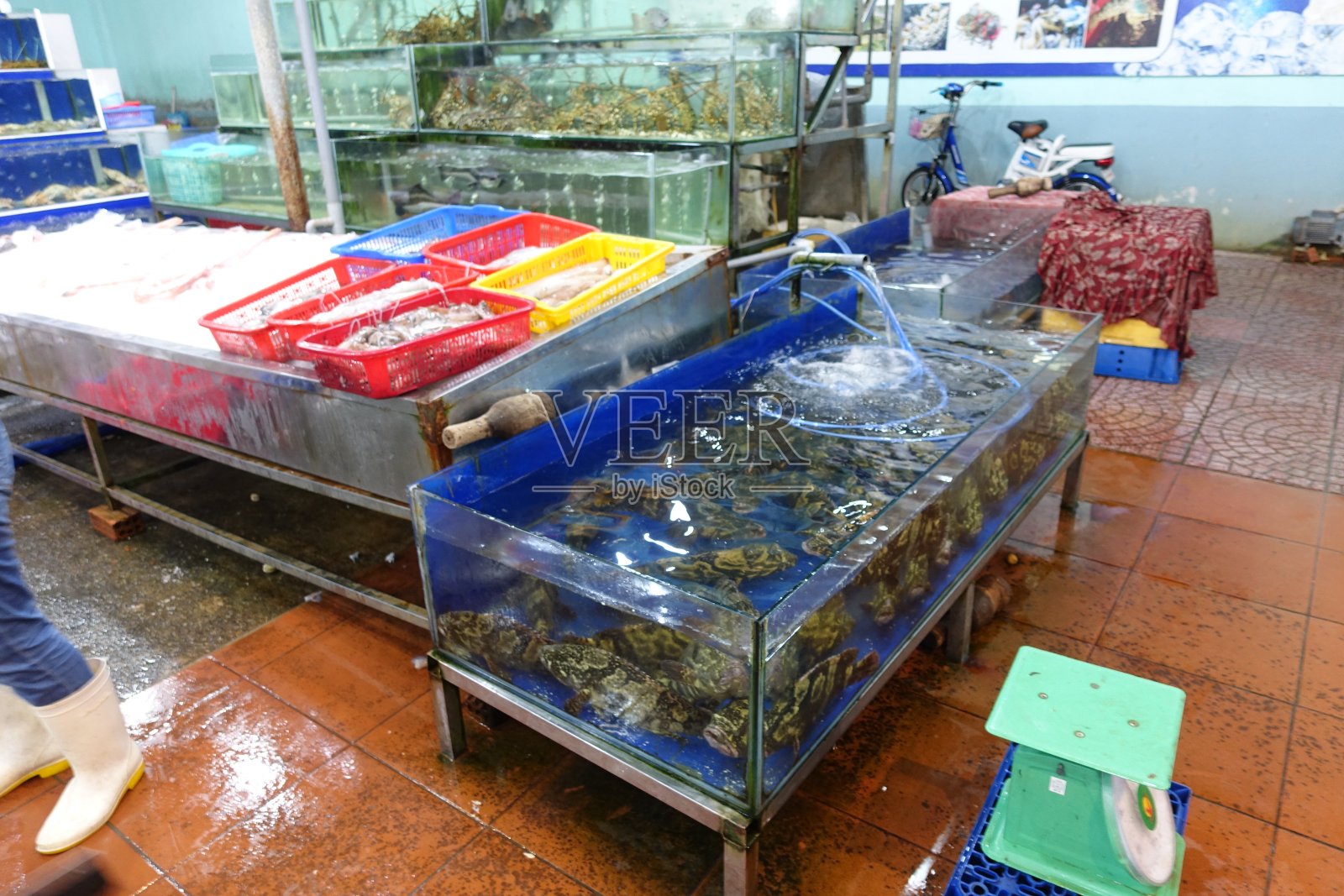 各位来宾食品照片摄影图片