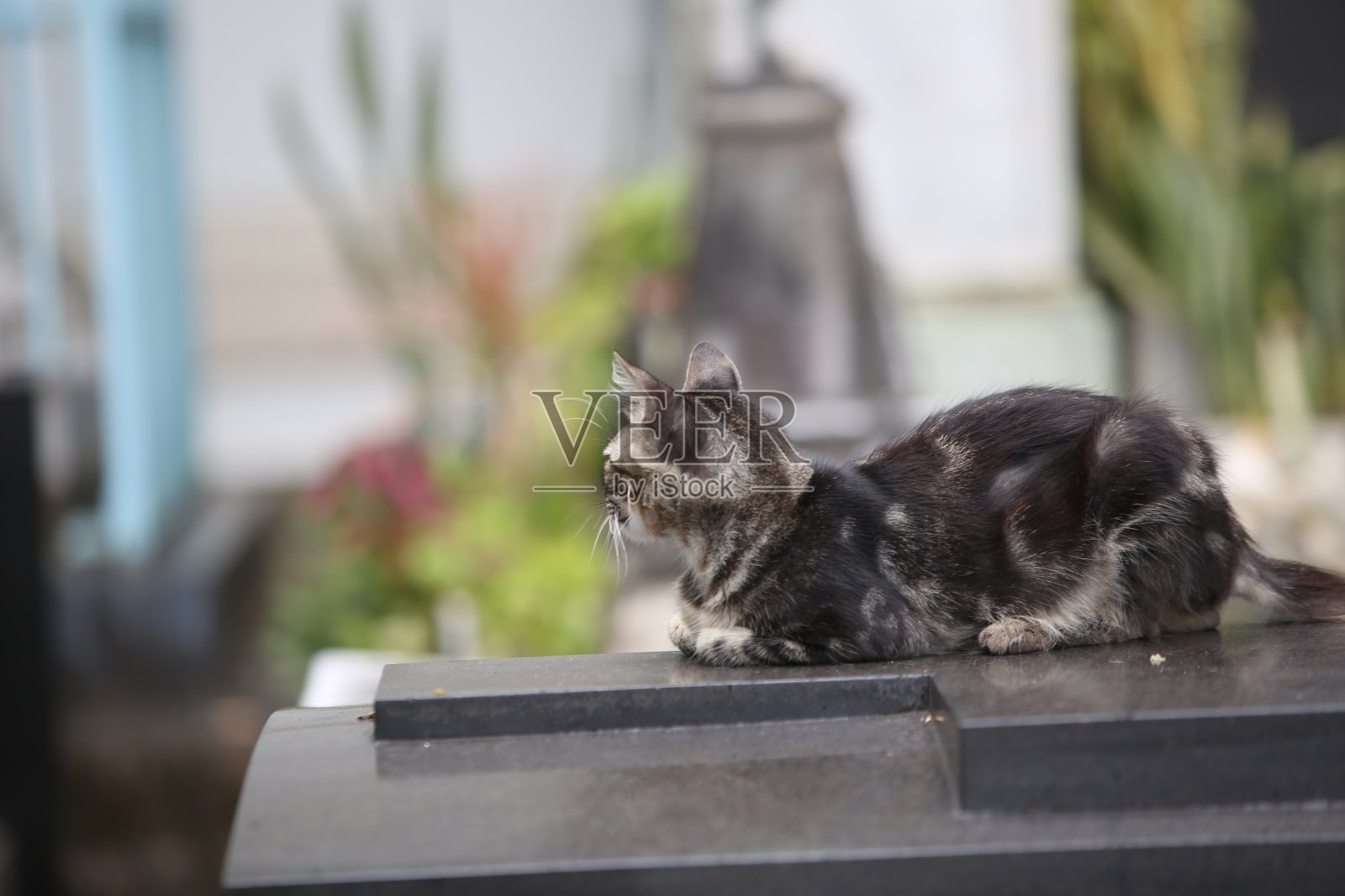 萨尔瓦多的死亡之城照片摄影图片