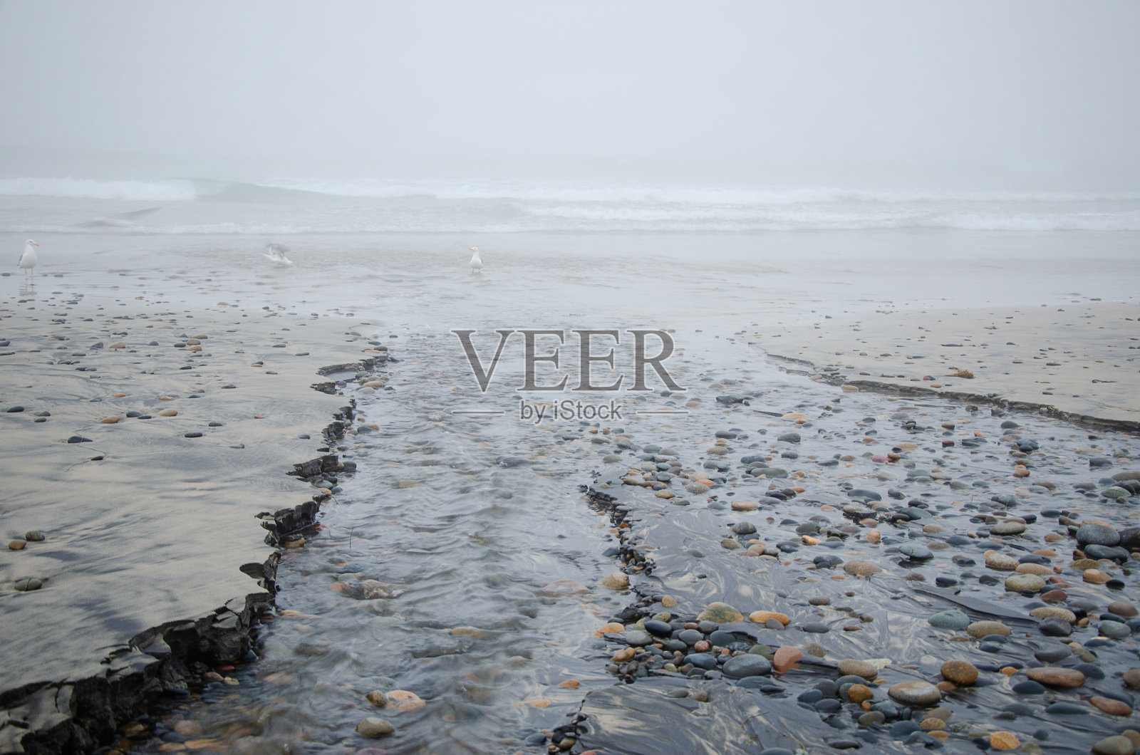 雾中的月光海滩照片摄影图片