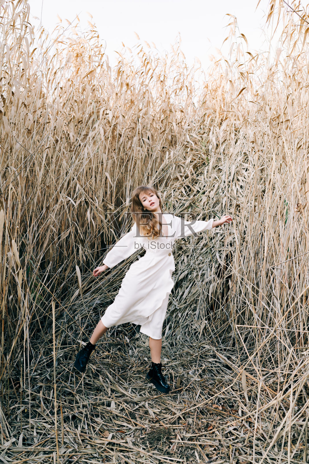 年轻女子身穿白色连衣裙站在秋季芦苇丛中照片摄影图片