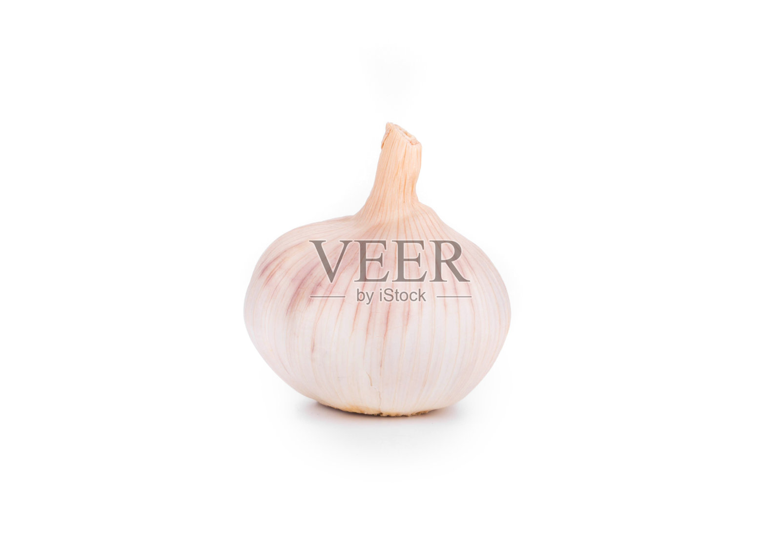 大蒜的头。照片摄影图片