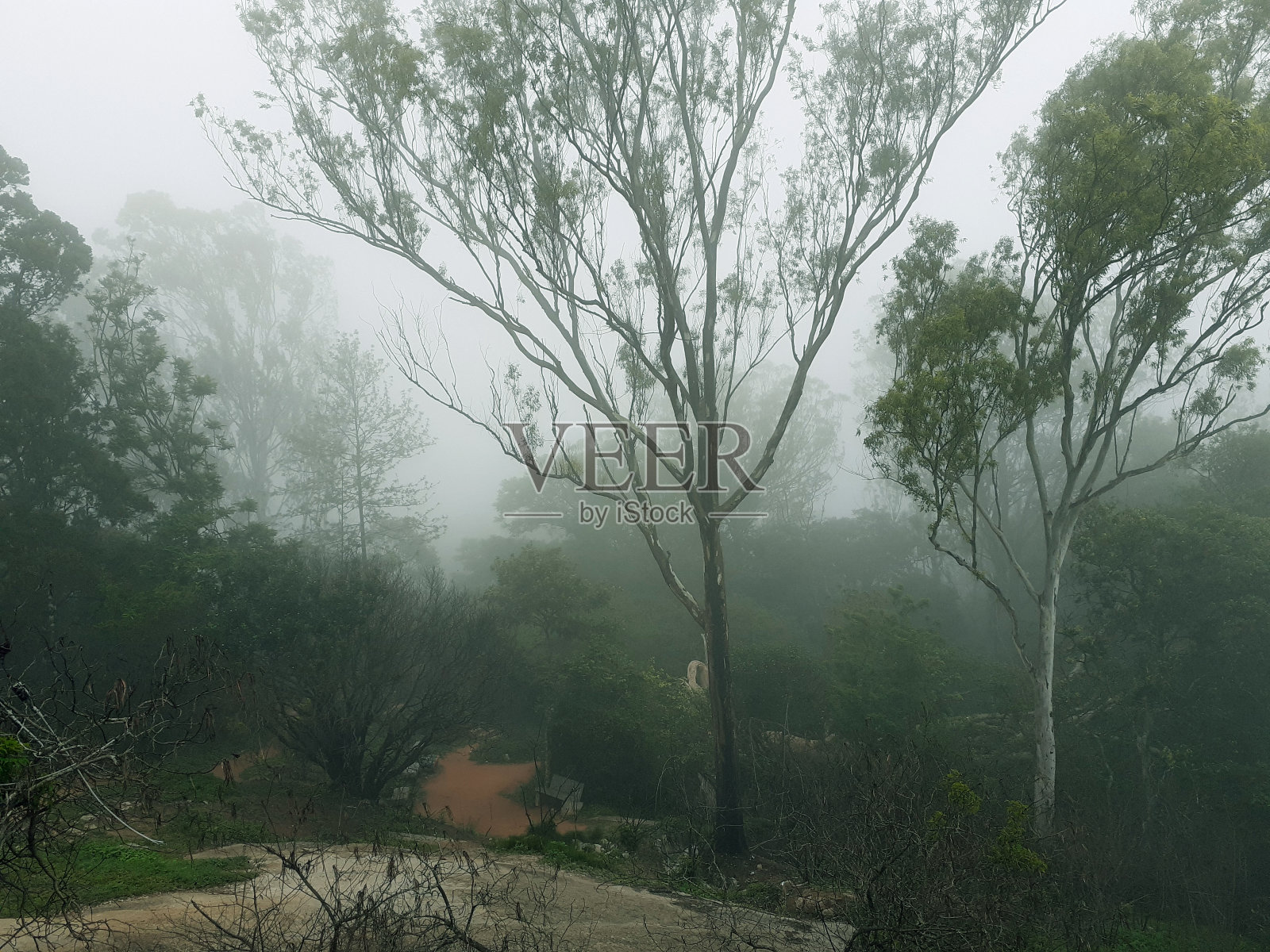 南迪山的晨雾照片摄影图片