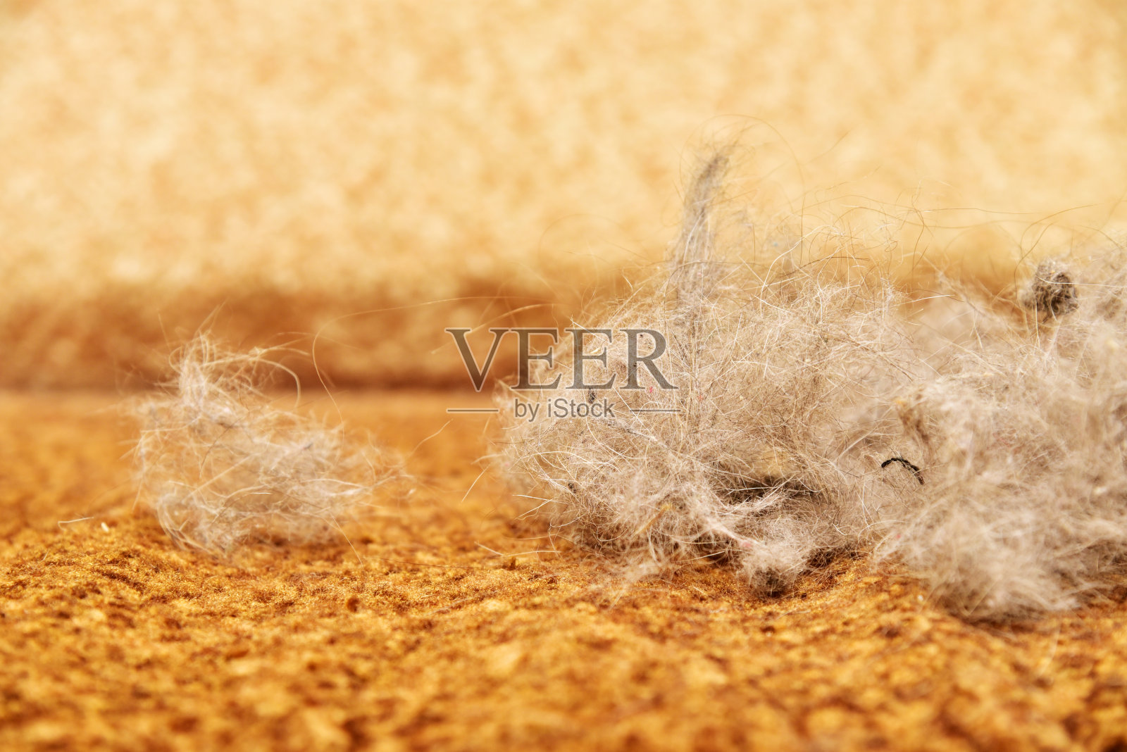 宠物和猫的皮毛照片摄影图片