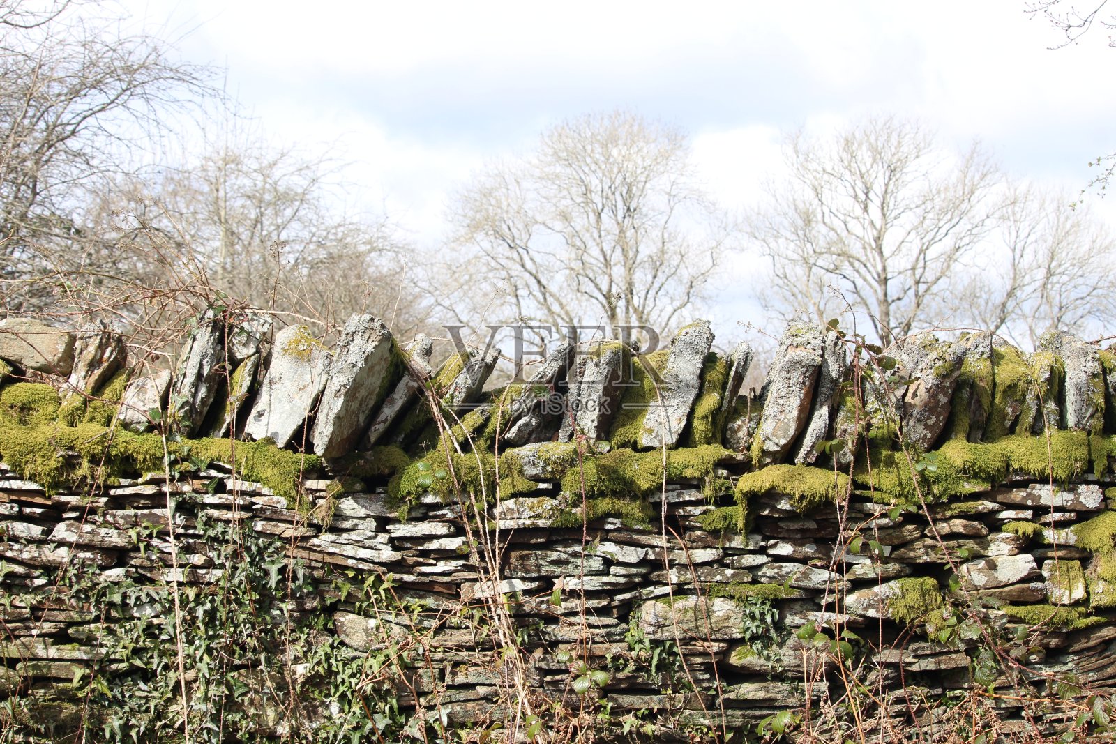 一张老石墙的照片，水平和垂直的石头层，苔藓覆盖它，和一个自然森林林地的焦点的背景。照片摄影图片